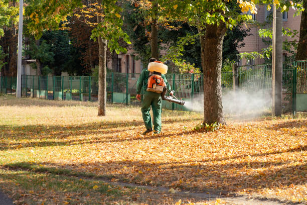 Professional Pest Control in Ester, AK