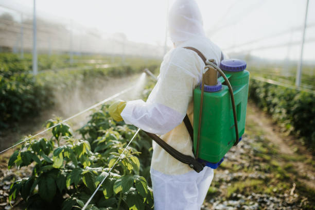 Pest Control Cost in Ester, AK